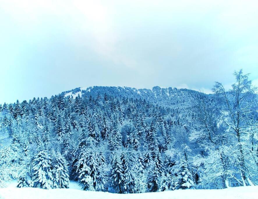 Logement 6 Pers Au Coeur Des Montagnes Pyreneennes Linge De Maison Et Papier Toilette Non Fournis Boutx Exterior foto