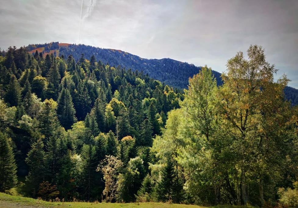 Logement 6 Pers Au Coeur Des Montagnes Pyreneennes Linge De Maison Et Papier Toilette Non Fournis Boutx Exterior foto